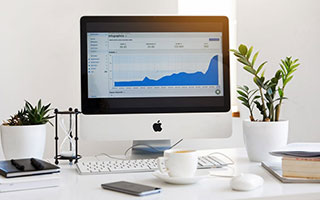 keznit 和 Rossy 为 ENVY 增色